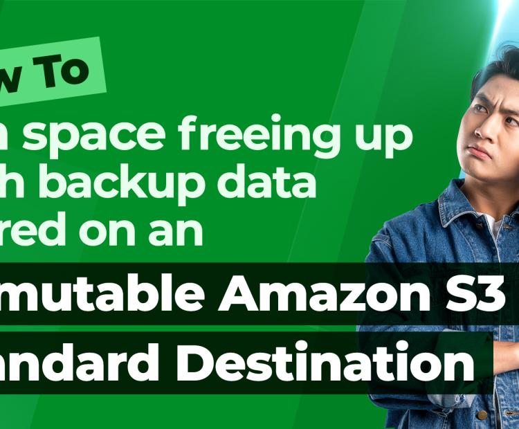How to run Space Freeing Up with backup data stored on an immutable Amazon S3 standard destination?