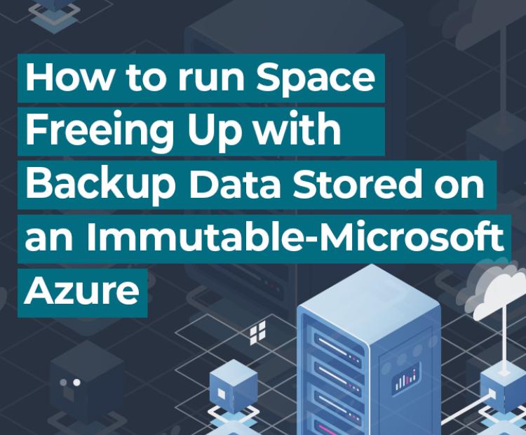 How to run Space Freeing Up on an immutable Microsoft Azure standard destination