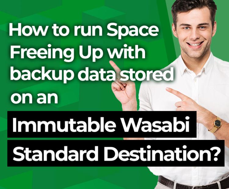  How to run Space Freeing Up with backup data stored on an immutable Wasabi standard destination?