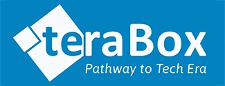 TeraBox Success Story