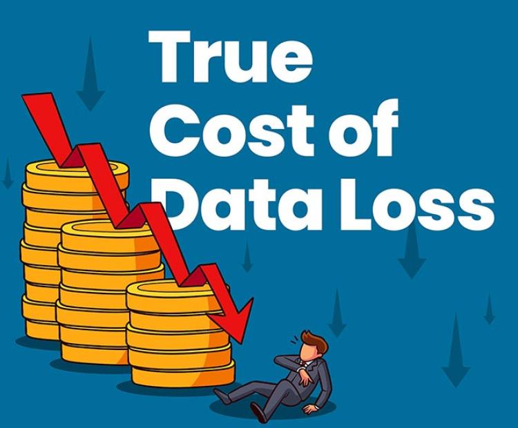 The True Cost of Data Loss