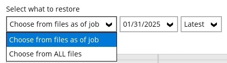 Choose From Files as of Job