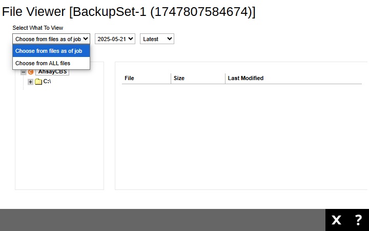 File Viewer