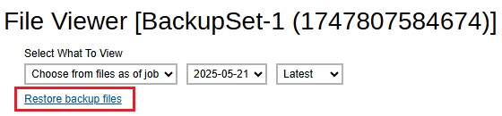 File Viewer