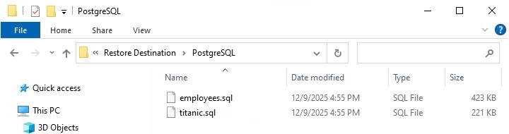 Windows File Explorer