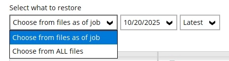 Choose from files as of job