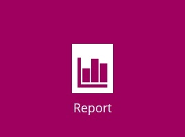 Report