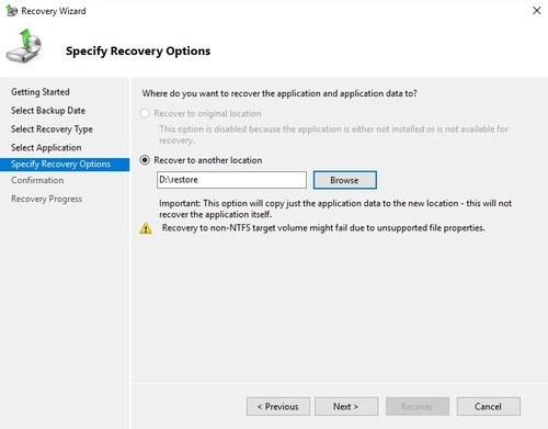 Recovery Options