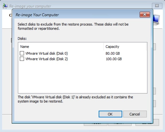 Exclude disk