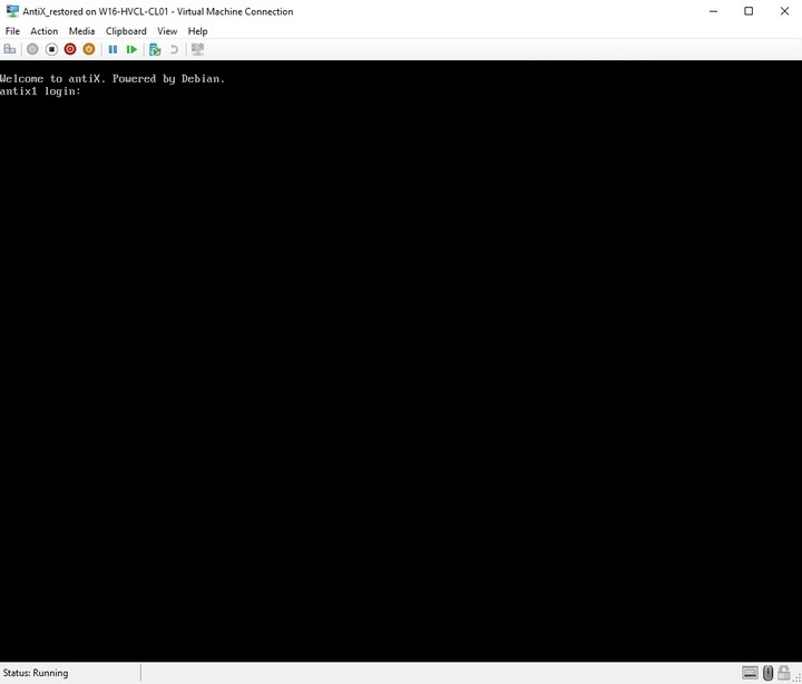Guest VM