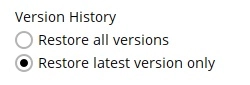 Version History