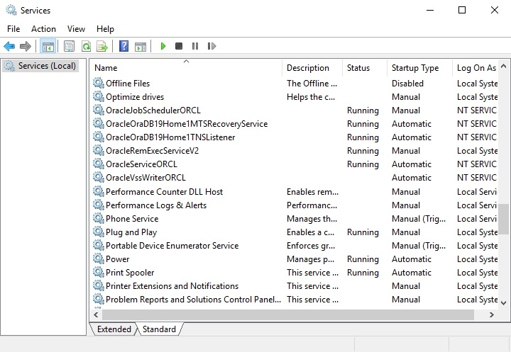 Oracle Services