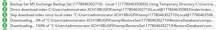 Ahsay Go Restore Report