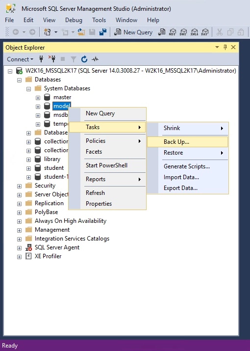 Backup Database