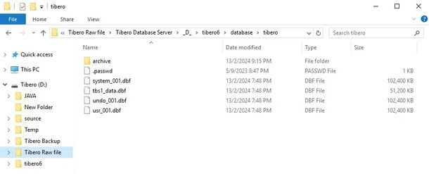 Windows File Explorer